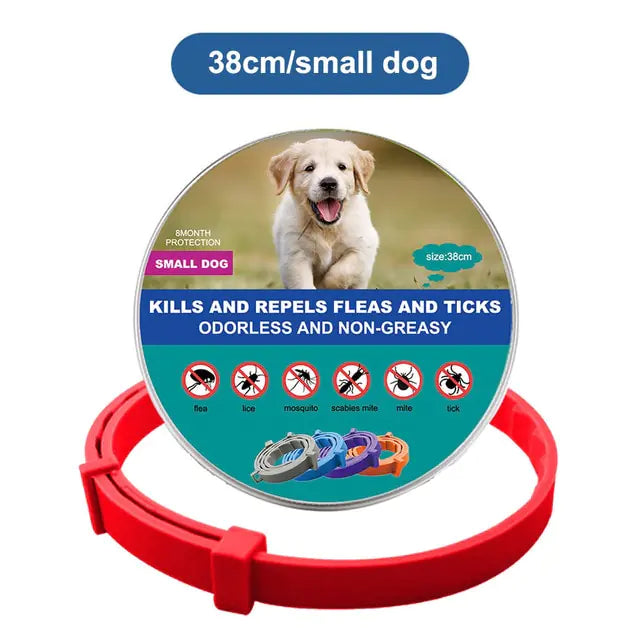 Anti Flea and Tick Adjustable Collar for Dogs and Cats, 8 Month Protection Retractable, Small and Large Sizes