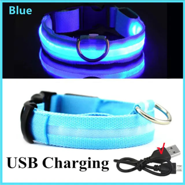 Glowing Dog Collar, USB or Battery, Flashing LED