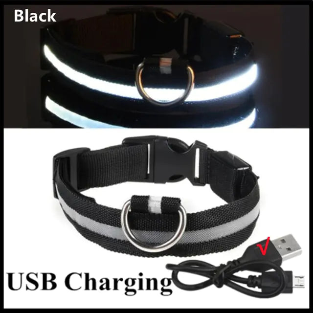 Glowing Dog Collar, USB or Battery, Flashing LED