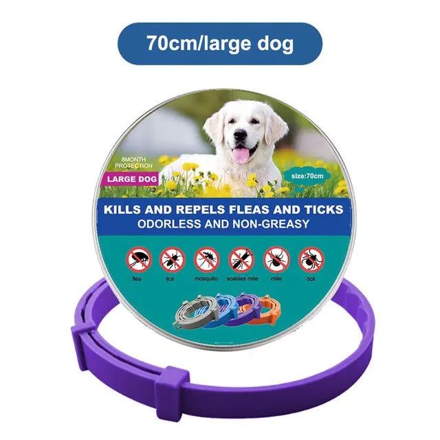 Anti Flea and Tick Adjustable Collar for Dogs and Cats, 8 Month Protection Retractable, Small and Large Sizes