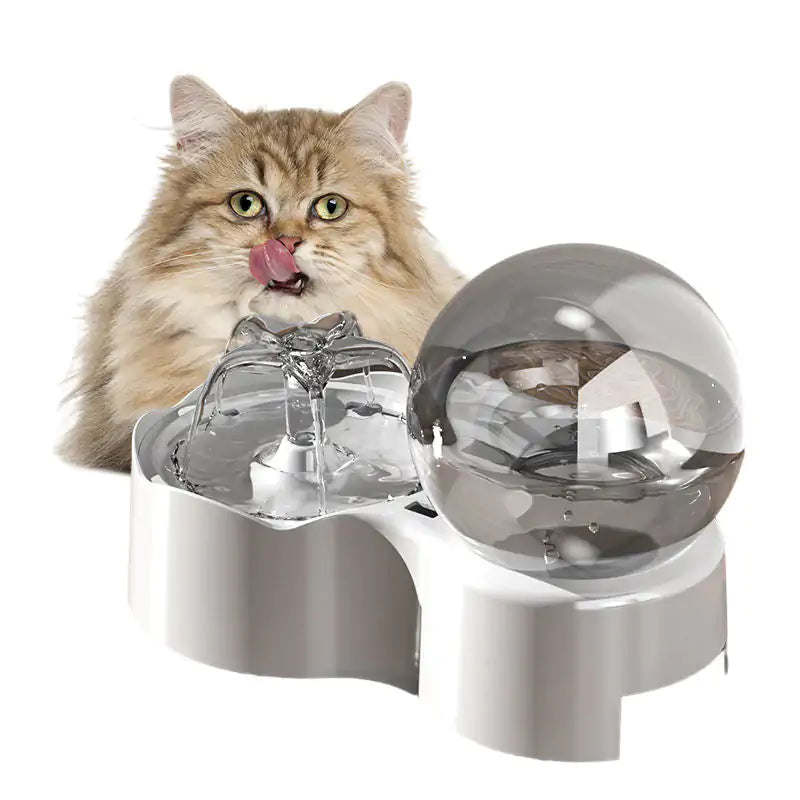 Cats and Dogs hydration Bowl