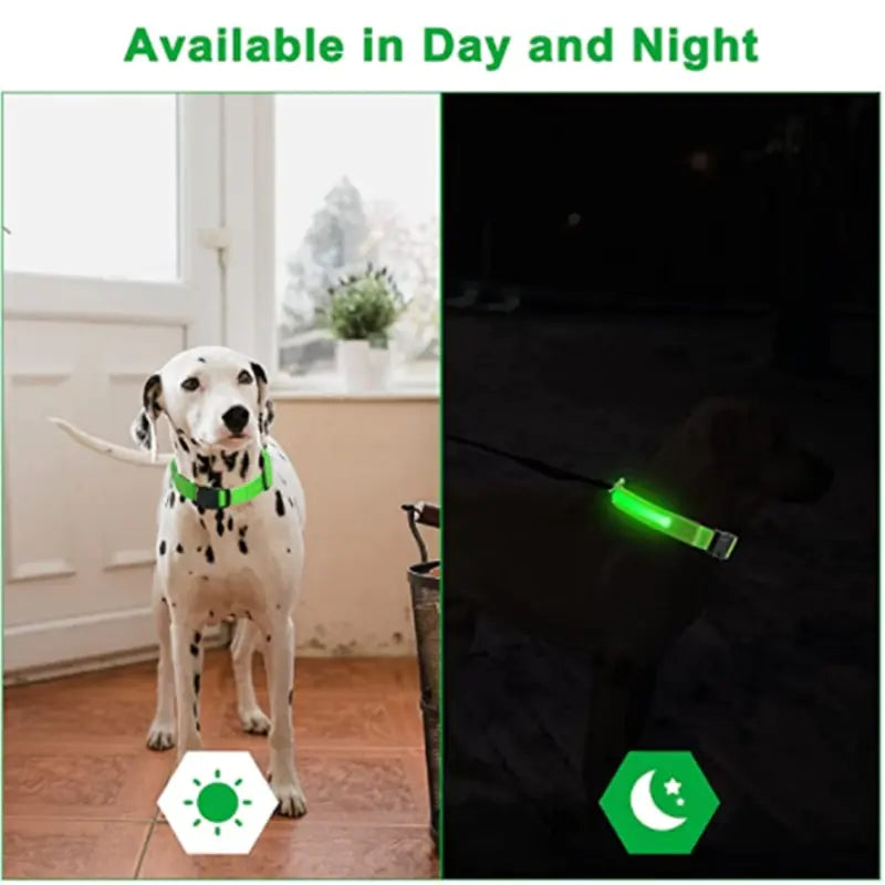 Glowing Dog Collar, USB or Battery, Flashing LED