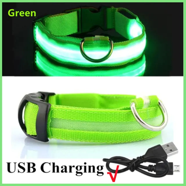 Glowing Dog Collar, USB or Battery, Flashing LED