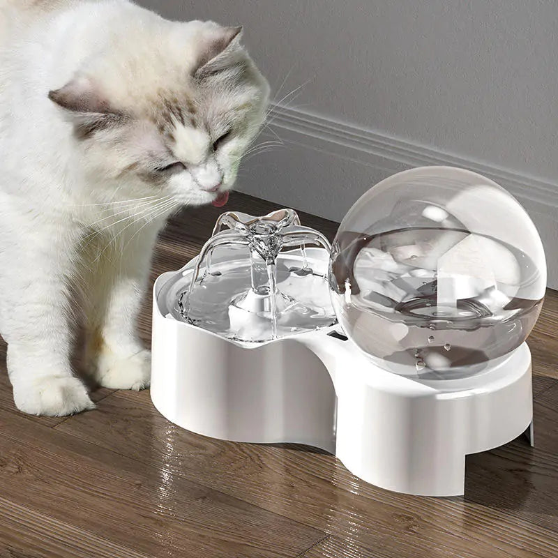 Cats and Dogs hydration Bowl