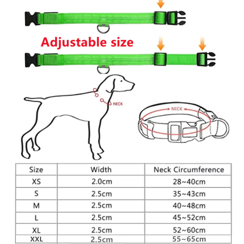 Glowing Dog Collar, USB or Battery, Flashing LED