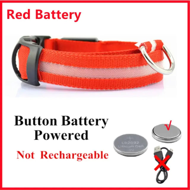 Glowing Dog Collar, USB or Battery, Flashing LED