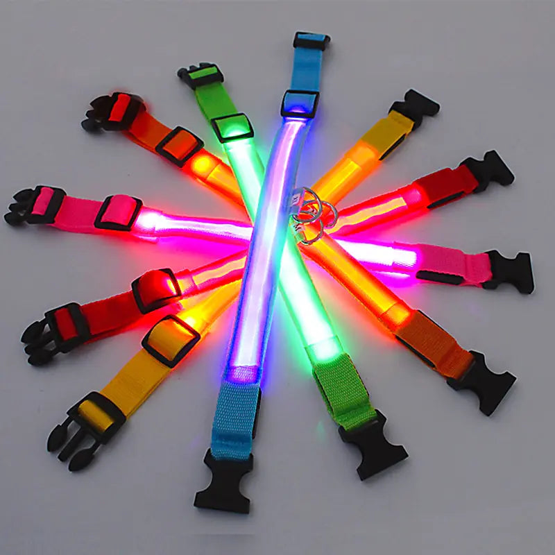 Glowing Dog Collar, USB or Battery, Flashing LED