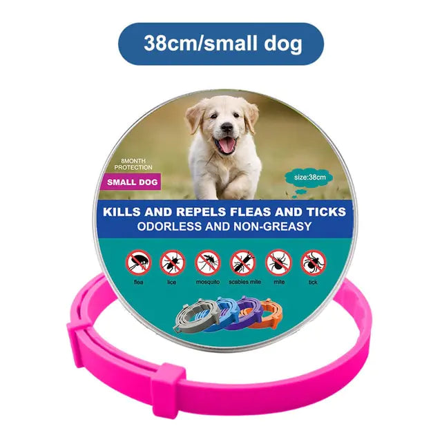 Anti Flea and Tick Adjustable Collar for Dogs and Cats, 8 Month Protection Retractable, Small and Large Sizes