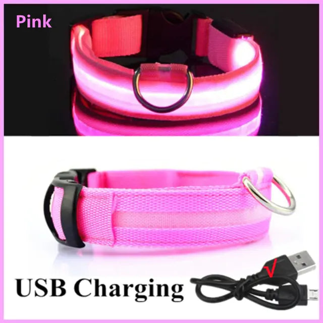 Glowing Dog Collar, USB or Battery, Flashing LED