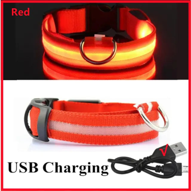 Glowing Dog Collar, USB or Battery, Flashing LED