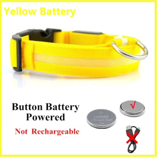 Glowing Dog Collar, USB or Battery, Flashing LED