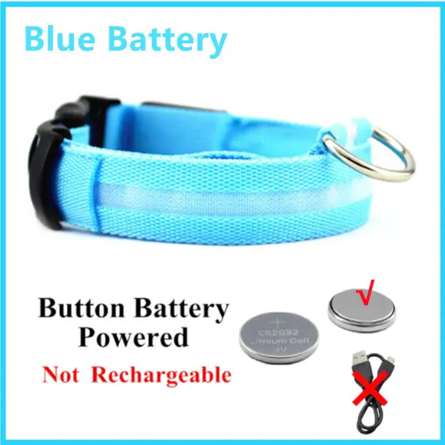 Glowing Dog Collar, USB or Battery, Flashing LED