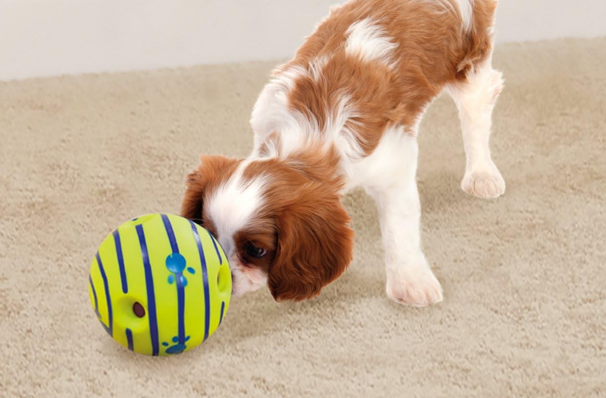 Fun, Play Time, Interactive Dog Toy, Wobble Wag Giggle Ball w/Sounds