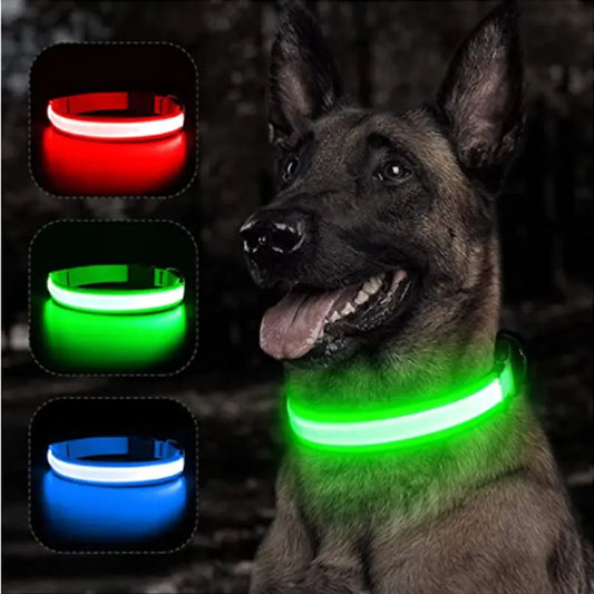 Glowing Dog Collar, USB or Battery, Flashing LED