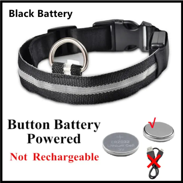 Glowing Dog Collar, USB or Battery, Flashing LED