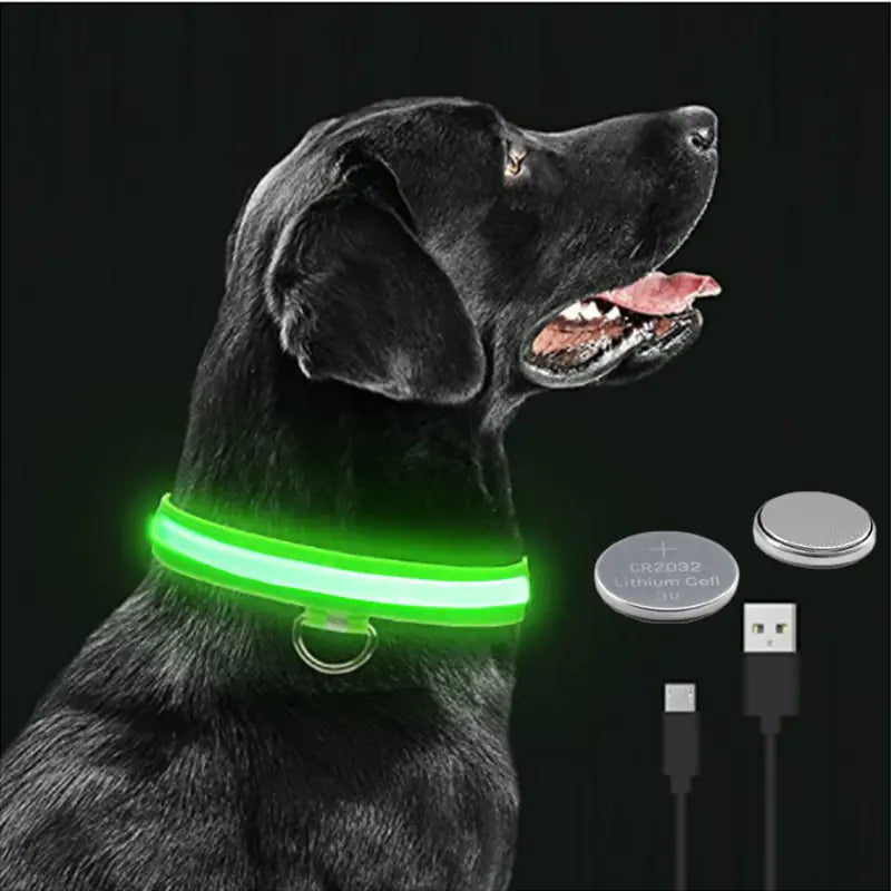 Glowing Dog Collar, USB or Battery, Flashing LED