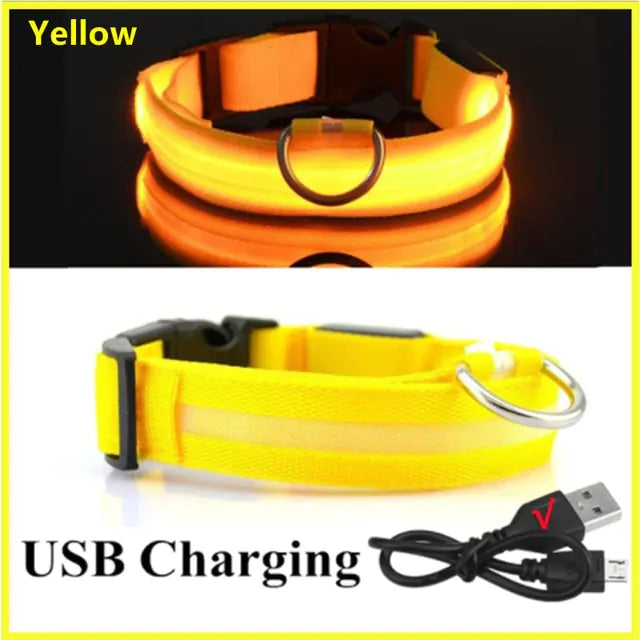 Glowing Dog Collar, USB or Battery, Flashing LED