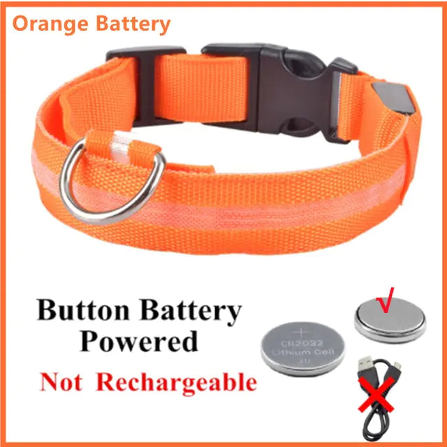 Glowing Dog Collar, USB or Battery, Flashing LED