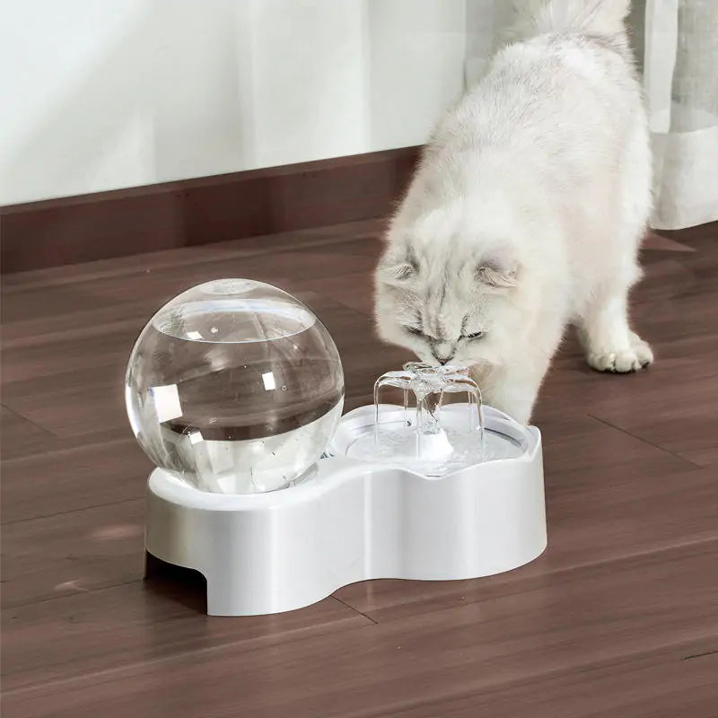 Cats and Dogs hydration Bowl