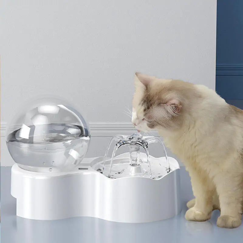 Cats and Dogs hydration Bowl