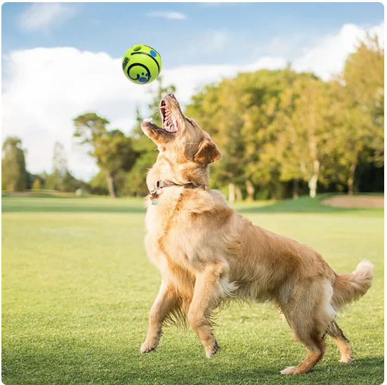 Fun, Play Time, Interactive Dog Toy, Wobble Wag Giggle Ball w/Sounds