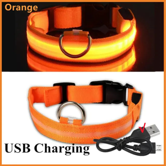 Glowing Dog Collar, USB or Battery, Flashing LED