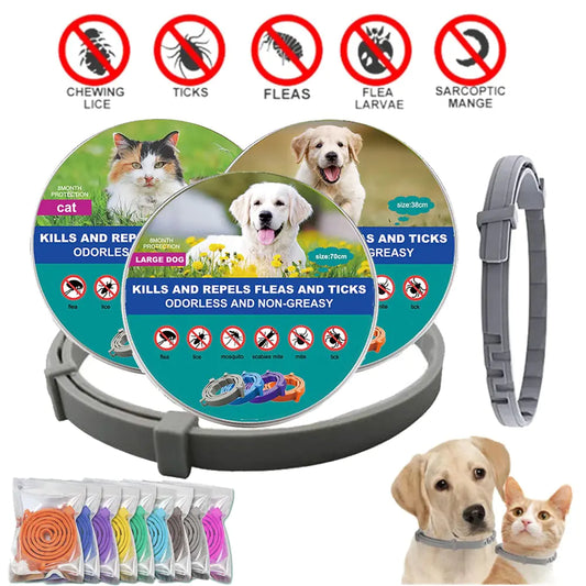 Anti Flea and Tick Adjustable Collar for Dogs and Cats, 8 Month Protection Retractable, Small and Large Sizes